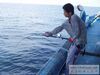马来西亚(霹雳州)半港海山垂钓劲鱼种类