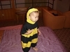 我家宝贝:可爱的小蜜蜂
