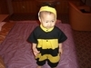 我家宝贝:可爱小蜜蜂NO.2