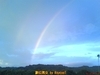 台风来袭时的彩虹