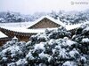 韩国雪景