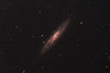 NGC253  银币星系