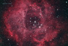 NGC2244 玫瑰星云